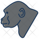 پیش‌نمایش فایل gorilla-3969611 از پک سر حیوان