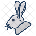 پیش‌نمایش فایل rabbit-3969624 از پک سر حیوان