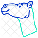 پیش‌نمایش فایل camel-3969709 از پک سر حیوان