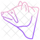 پیش‌نمایش فایل raccon-3969775 از پک سر حیوان