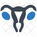 پیش‌نمایش فایل female-uterus-6458604 از پک آناتومی بدن انسان