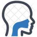 پیش‌نمایش فایل human-throat-6458598 از پک آناتومی بدن انسان