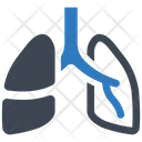 پیش‌نمایش فایل lungs-6458635 از پک آناتومی بدن انسان