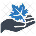 پیش‌نمایش فایل maple-leaf-7028987 از پک روز شکرگزاری