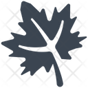 پیش‌نمایش فایل maple-leaf-7028995 از پک روز شکرگزاری