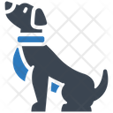 پیش‌نمایش فایل dog-animal-7690918 از پک زندگی خانوادگی