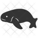 پیش‌نمایش فایل dugong-10088154 از پک حیوانات دریایی ۲