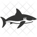 پیش‌نمایش فایل hammerhead-shark-10088160 از پک حیوانات دریایی ۲