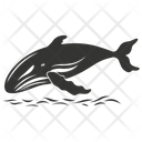 پیش‌نمایش فایل humpback-whale-10088158 از پک حیوانات دریایی ۲