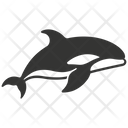 پیش‌نمایش فایل killer-whale-10088159 از پک حیوانات دریایی ۲