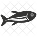 پیش‌نمایش فایل anchovy-10083964 از پک حیوانات دریایی