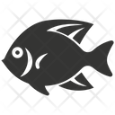 پیش‌نمایش فایل blue-tang-10084036 از پک حیوانات دریایی