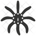 پیش‌نمایش فایل brittle-star-10083944 از پک حیوانات دریایی