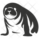 پیش‌نمایش فایل elephant-seal-10083998 از پک حیوانات دریایی