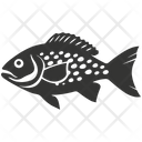 پیش‌نمایش فایل grouper-fish-10083956 از پک حیوانات دریایی