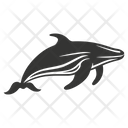 پیش‌نمایش فایل humpback-whale-10084019 از پک حیوانات دریایی