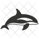 پیش‌نمایش فایل killer-whale-10084021 از پک حیوانات دریایی