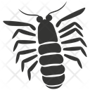 پیش‌نمایش فایل mantis-shrimp-10084026 از پک حیوانات دریایی