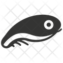 پیش‌نمایش فایل moray-eel-10083949 از پک حیوانات دریایی