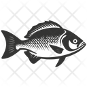 پیش‌نمایش فایل snapper-fish-10083957 از پک حیوانات دریایی