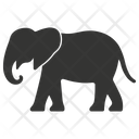 پیش‌نمایش فایل elephant-10080111 از پک شگفتی‌های طبیعت ۴