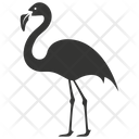 پیش‌نمایش فایل flamingo-bird-10080086 از پک شگفتی‌های طبیعت ۴