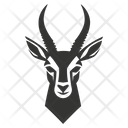 پیش‌نمایش فایل gazelle-10080102 از پک شگفتی‌های طبیعت ۴
