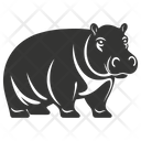 پیش‌نمایش فایل hippopotamus-10080109 از پک شگفتی‌های طبیعت ۴