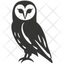 پیش‌نمایش فایل barn-owl-bird-10079578 از پک شگفتی‌های طبیعت ۳