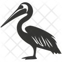 پیش‌نمایش فایل brown-pelican-bird-10079577 از پک شگفتی‌های طبیعت ۳