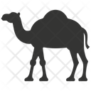 پیش‌نمایش فایل camel-10079611 از پک شگفتی‌های طبیعت ۳