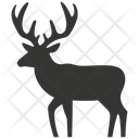 پیش‌نمایش فایل caribou-10079610 از پک شگفتی‌های طبیعت ۳