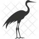 پیش‌نمایش فایل common-crane-bird-10079574 از پک شگفتی‌های طبیعت ۳