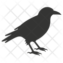 پیش‌نمایش فایل crow-bird-10079572 از پک شگفتی‌های طبیعت ۳