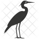پیش‌نمایش فایل heron-bird-10079567 از پک شگفتی‌های طبیعت ۳