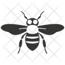 پیش‌نمایش فایل hornet-insect-10079548 از پک شگفتی‌های طبیعت ۳