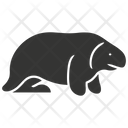 پیش‌نمایش فایل manatee-10079599 از پک شگفتی‌های طبیعت ۳