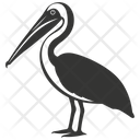 پیش‌نمایش فایل pelican-bird-10079564 از پک شگفتی‌های طبیعت ۳
