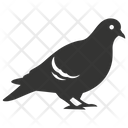 پیش‌نمایش فایل pigeon-10079556 از پک شگفتی‌های طبیعت ۳