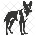 پیش‌نمایش فایل african-wild-dog-10078863 از پک شگفتی‌های طبیعت ۲
