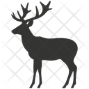 پیش‌نمایش فایل axis-deer-10078874 از پک شگفتی‌های طبیعت ۲
