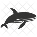 پیش‌نمایش فایل blue-whale-10078855 از پک شگفتی‌های طبیعت ۲