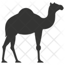 پیش‌نمایش فایل camel-10078850 از پک شگفتی‌های طبیعت ۲