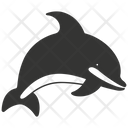 پیش‌نمایش فایل dolphin-10078846 از پک شگفتی‌های طبیعت ۲