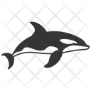پیش‌نمایش فایل orca-10078806 از پک شگفتی‌های طبیعت ۲