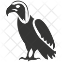 پیش‌نمایش فایل andean-condor-bird-10078404 از پک شگفتی‌های طبیعت ۱