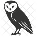 پیش‌نمایش فایل barn-owl-bird-10078400 از پک شگفتی‌های طبیعت ۱