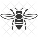 پیش‌نمایش فایل bee-insect-10078337 از پک شگفتی‌های طبیعت ۱