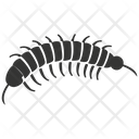 پیش‌نمایش فایل centipede-insect-10078324 از پک شگفتی‌های طبیعت ۱