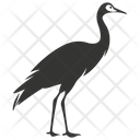 پیش‌نمایش فایل common-crane-bird-10078395 از پک شگفتی‌های طبیعت ۱